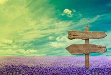 法國法令2019-1007協調與某些非食品產品安全有關的監管規定